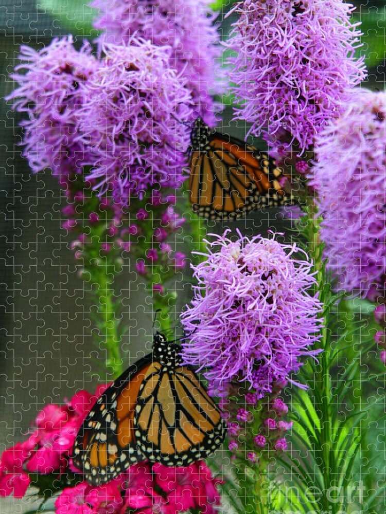 Nature Jigsaw Puzzle featuring the photograph Winged Beauties by Crystal Nederman