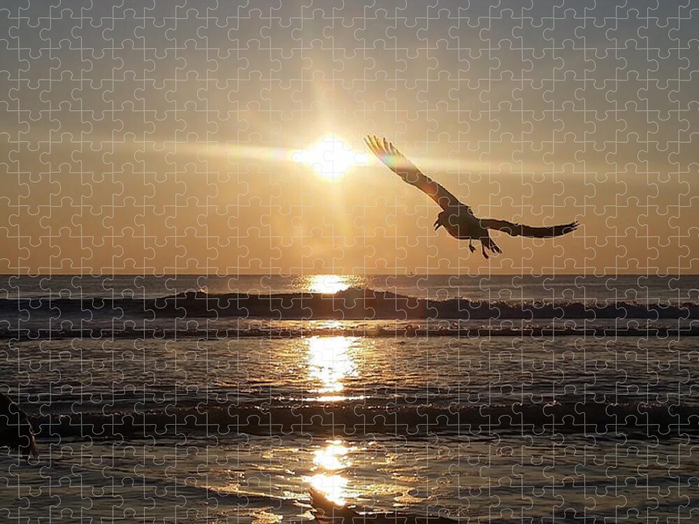 Water Jigsaw Puzzle featuring the photograph Wings of Sunrise by Robert Banach