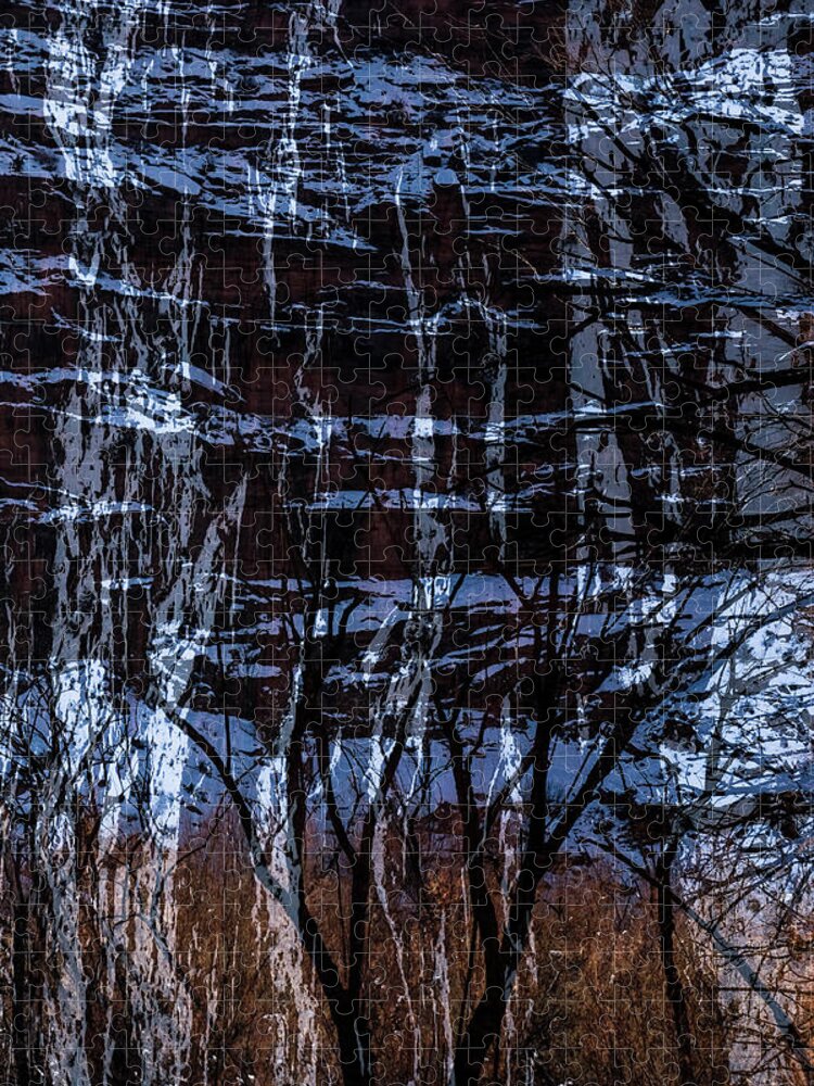 Multiple Exposure Jigsaw Puzzle featuring the photograph Winter Abstract by Deborah Hughes