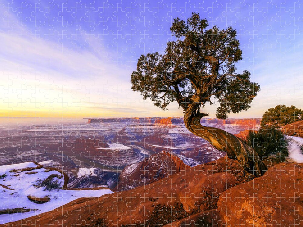 Winter At Dead Horse Jigsaw Puzzle featuring the photograph Winter at Dead Horse by Chad Dutson