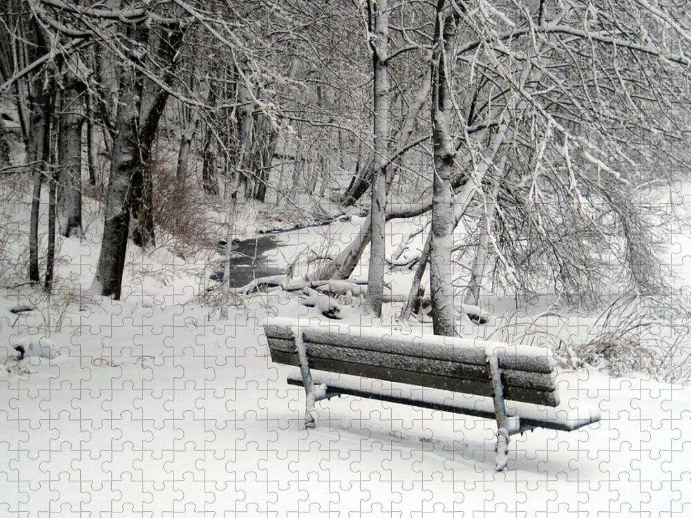 Winter Bench Jigsaw Puzzle featuring the photograph Winter Bench by Suzanne DeGeorge
