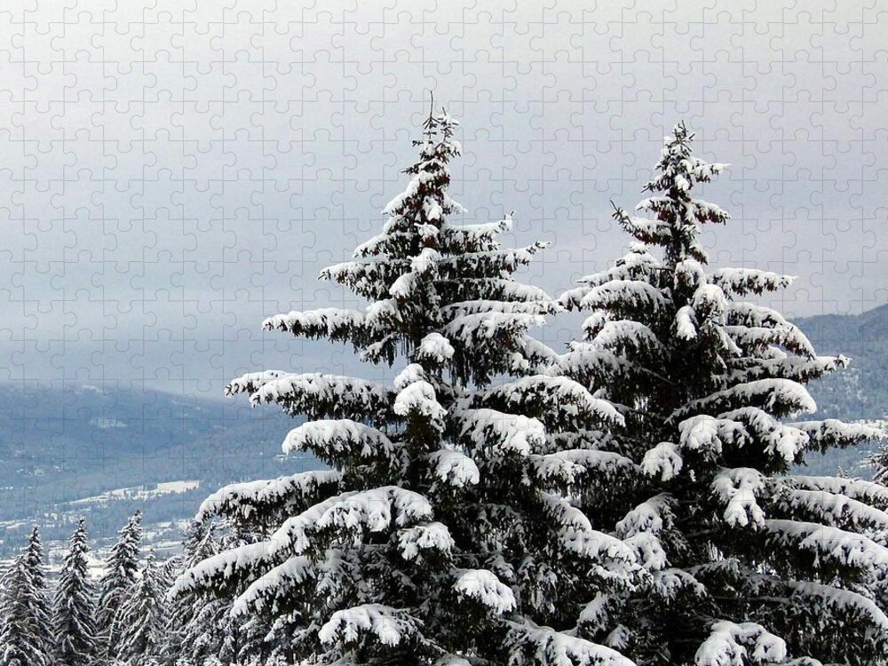 #winterbliss Jigsaw Puzzle featuring the photograph Winter Bliss by Will Borden