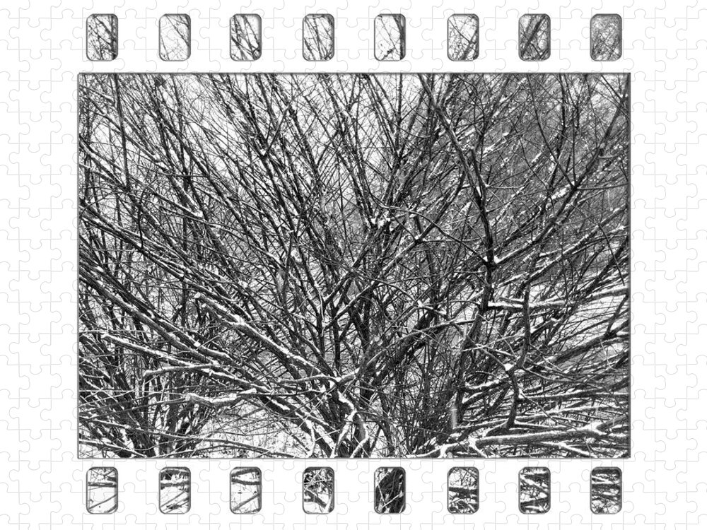 8-10-12 Collection Jigsaw Puzzle featuring the photograph Winter Branches - Natural Abstract by Denise Beverly