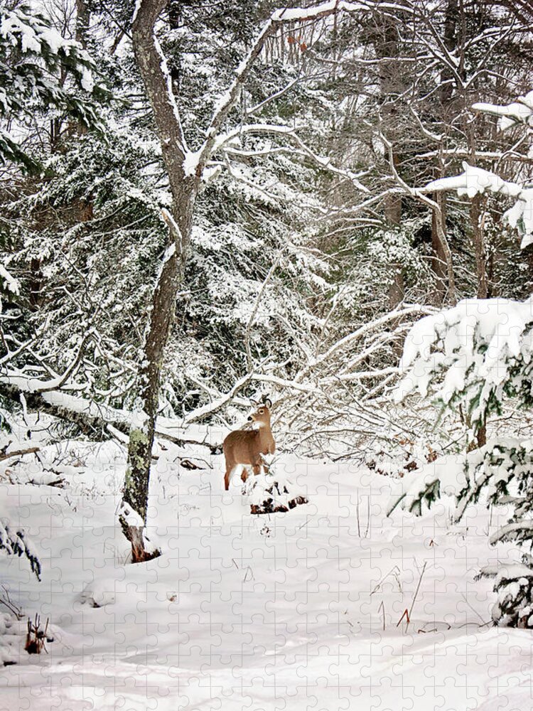 Winter Deer In The Forest Print Jigsaw Puzzle featuring the photograph Winter Deer in the Forest by Gwen Gibson