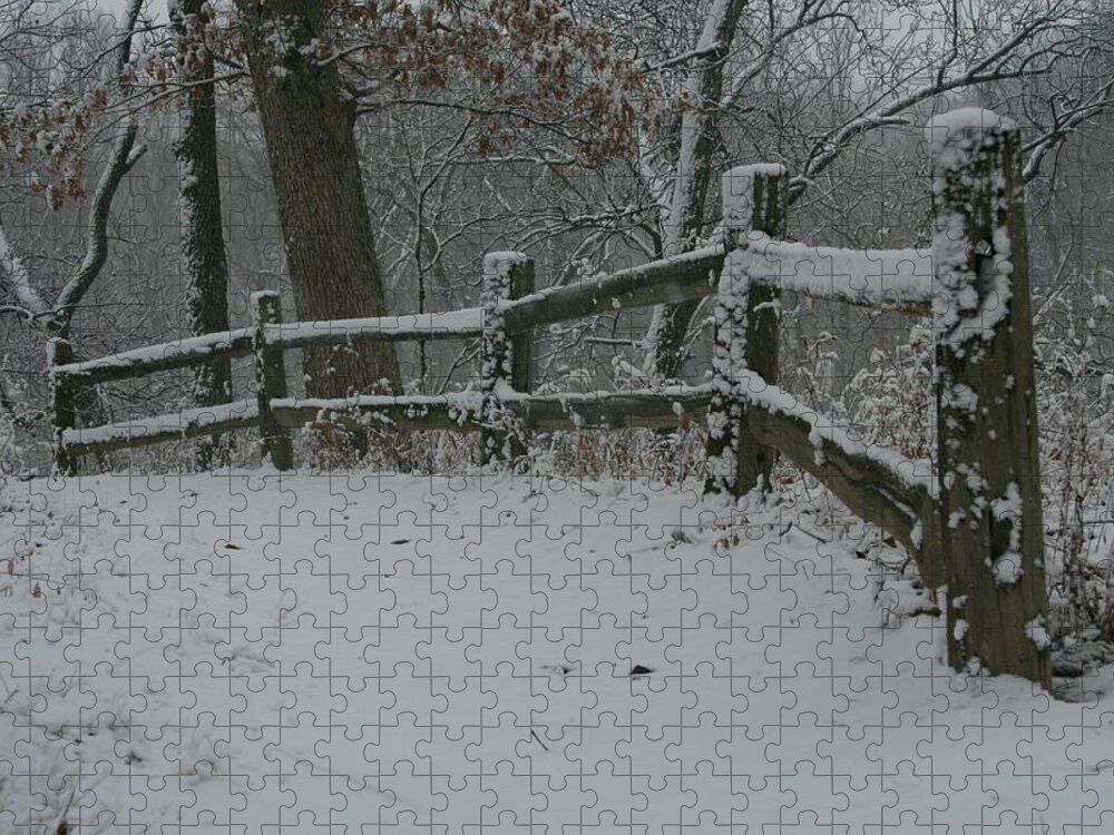 Winter Fence Trail Jigsaw Puzzle featuring the photograph Winter Fence Trail H by Dylan Punke