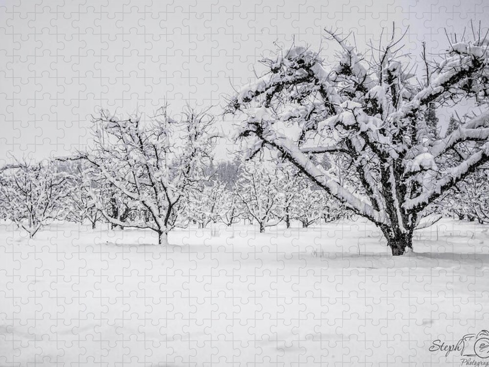 Orchard Jigsaw Puzzle featuring the photograph Winter in the Orchard by Steph Gabler