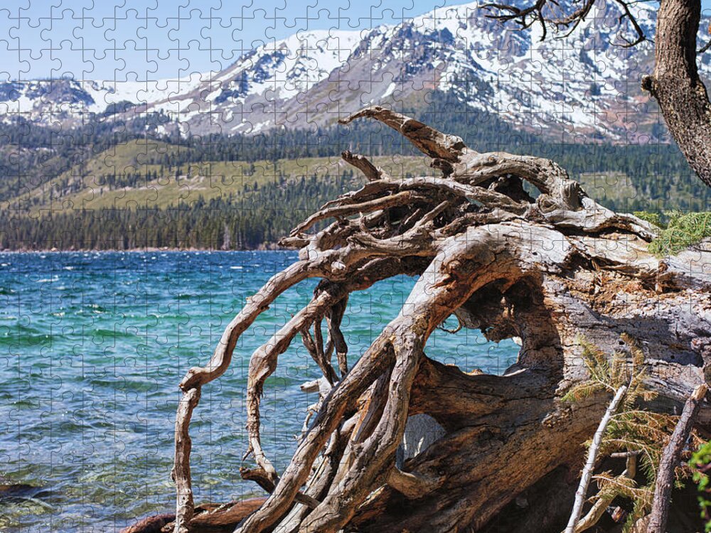Fallen Leaf Lake Jigsaw Puzzle featuring the photograph Winter Scene - Fallen Leaf Lake - California by Bruce Friedman