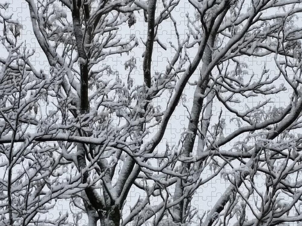 Ice Jigsaw Puzzle featuring the photograph Winter Sky through Snow Branches by Vic Ritchey