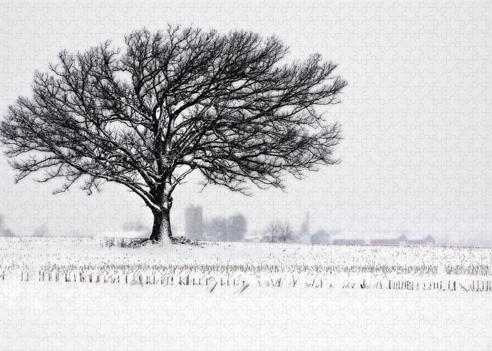 Oak Winter Snow Field Blizzard White Farm Rural Wi Wisconsin Stubble Stoughton Madison Silo Barn Bins Elevator Corn Jigsaw Puzzle featuring the photograph One Last Snowfall - Lone Oak in Snow and corn stubble near Stoughton WI by Peter Herman