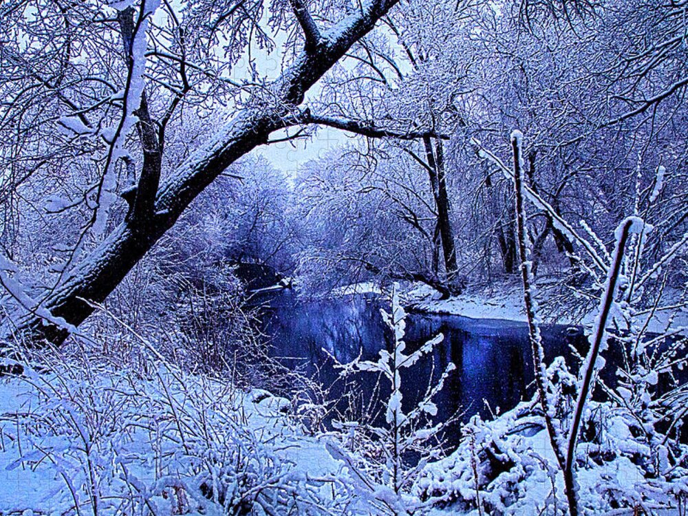 Horizons Jigsaw Puzzle featuring the photograph Winter Stream by Phil Koch