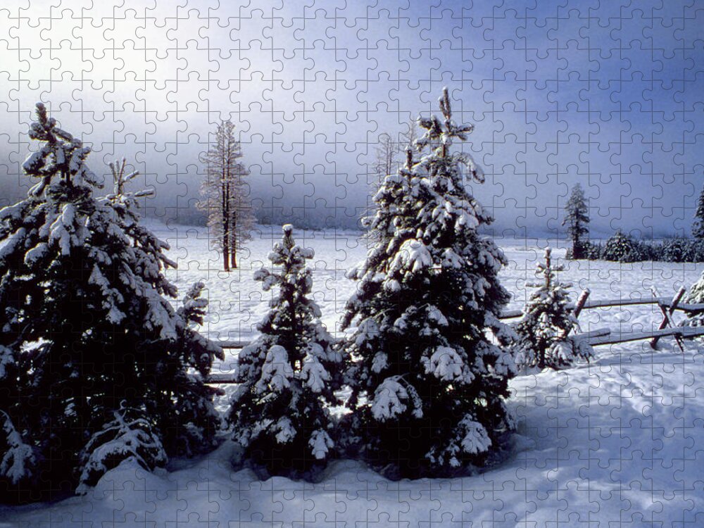 The Walkers Jigsaw Puzzle featuring the photograph Winter Takes All by The Walkers