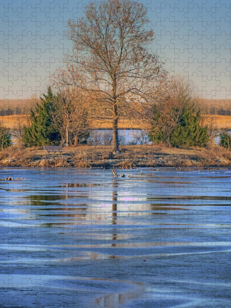 Lone Tree Jigsaw Puzzle featuring the photograph Winter Tree - Walnut Creek Lake by Nikolyn McDonald