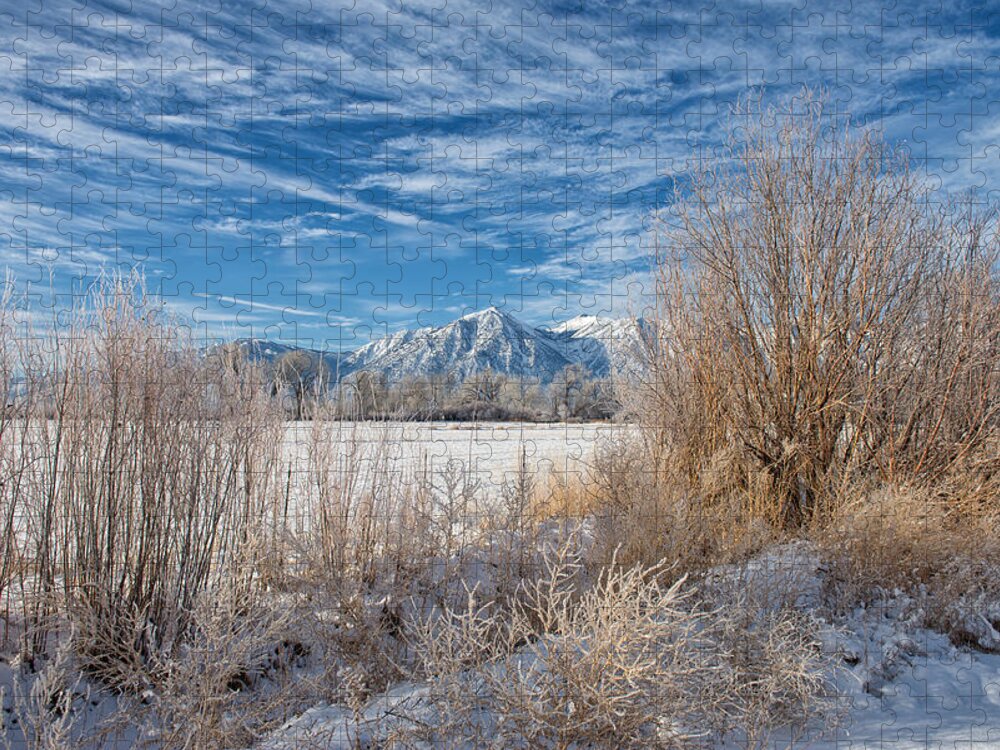 Mountains Jigsaw Puzzle featuring the photograph Winter View of Jobes Peak - Gardnerville - Nevada by Bruce Friedman