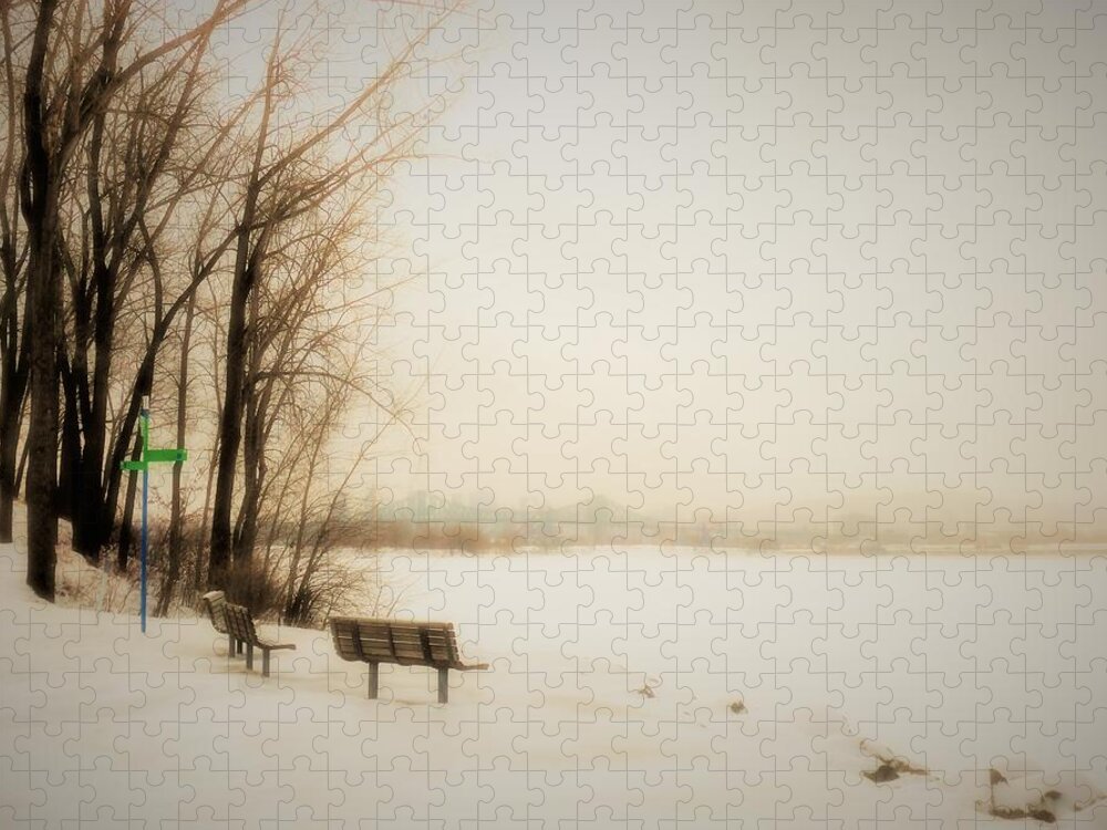 Winter Jigsaw Puzzle featuring the photograph Winter View over Montreal by Cristina Stefan