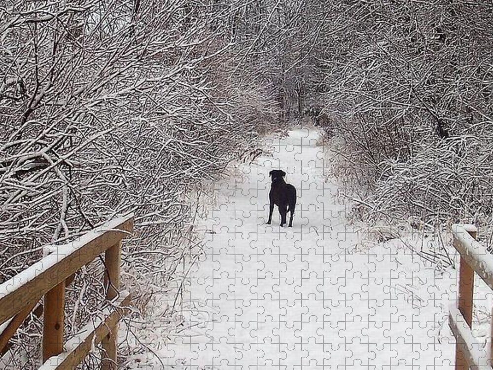 Winter Jigsaw Puzzle featuring the photograph Winter Walk by Deb Stroh-Larson