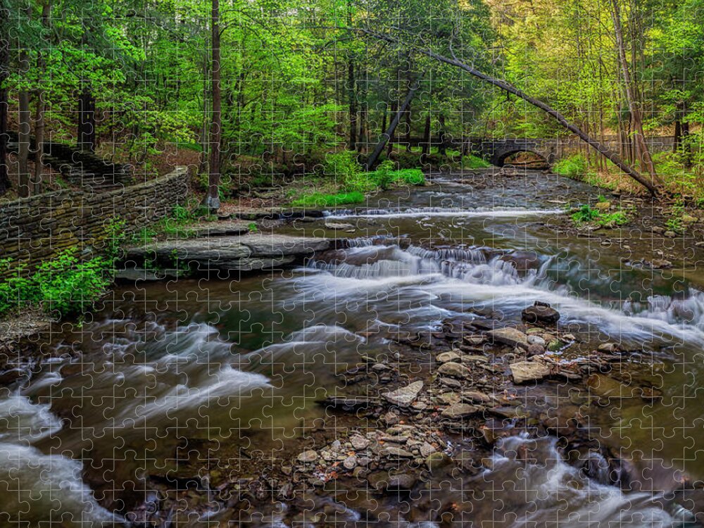 Landscape Jigsaw Puzzle featuring the photograph Wolf Creek Spring by Mark Papke