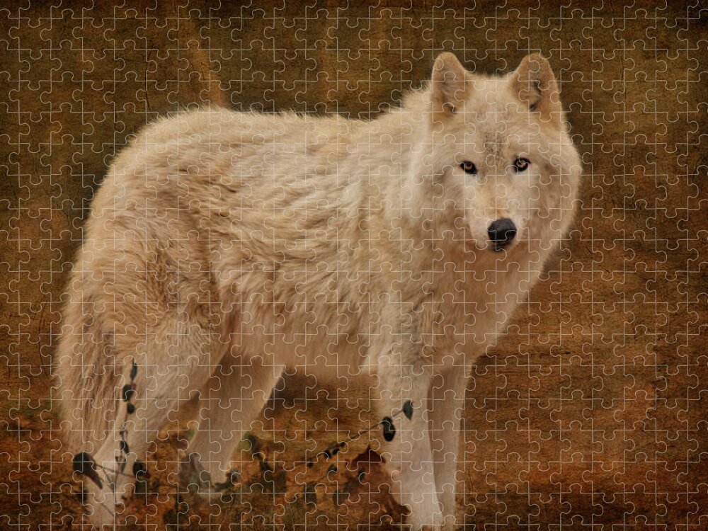 Wolf Jigsaw Puzzle featuring the photograph Wolf by Sandy Keeton