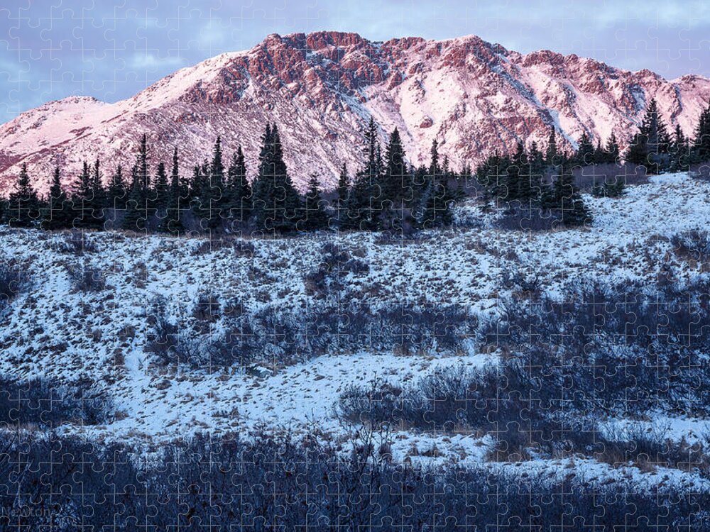 Alaska Jigsaw Puzzle featuring the photograph Wolverine Alpenglow by Tim Newton