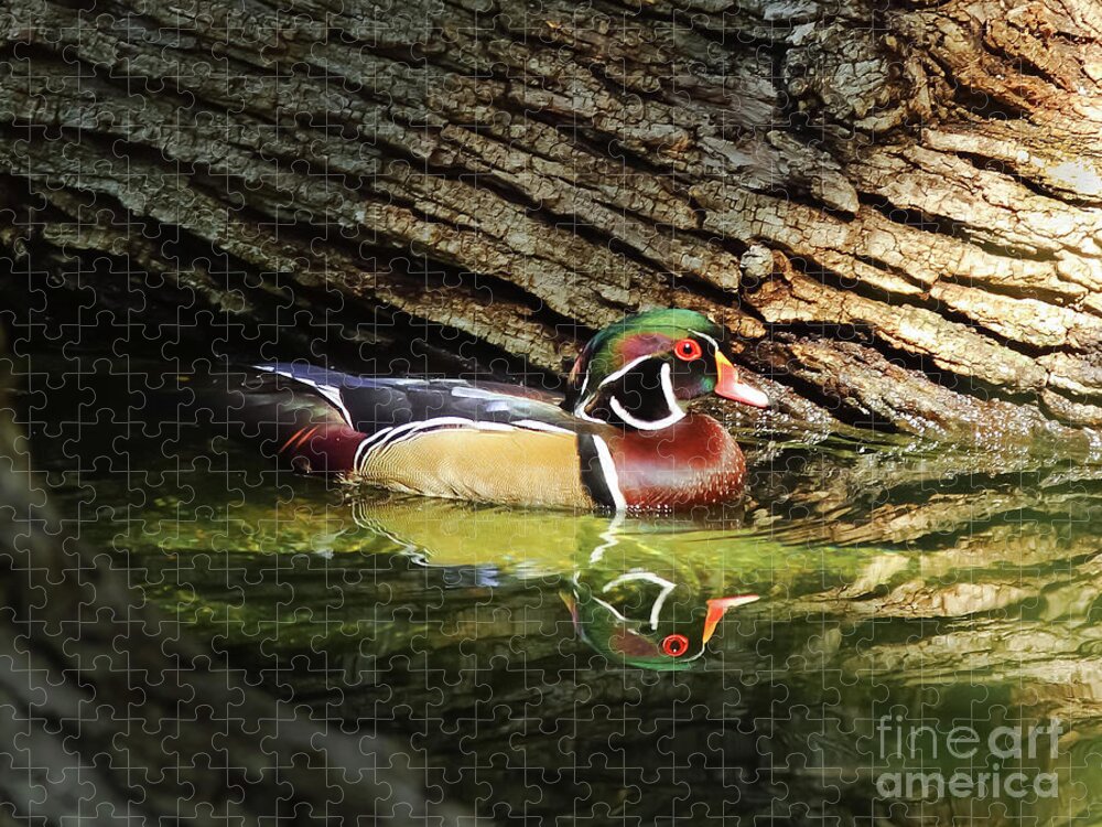 Animal Jigsaw Puzzle featuring the photograph Wood Duck In Wood by Robert Frederick