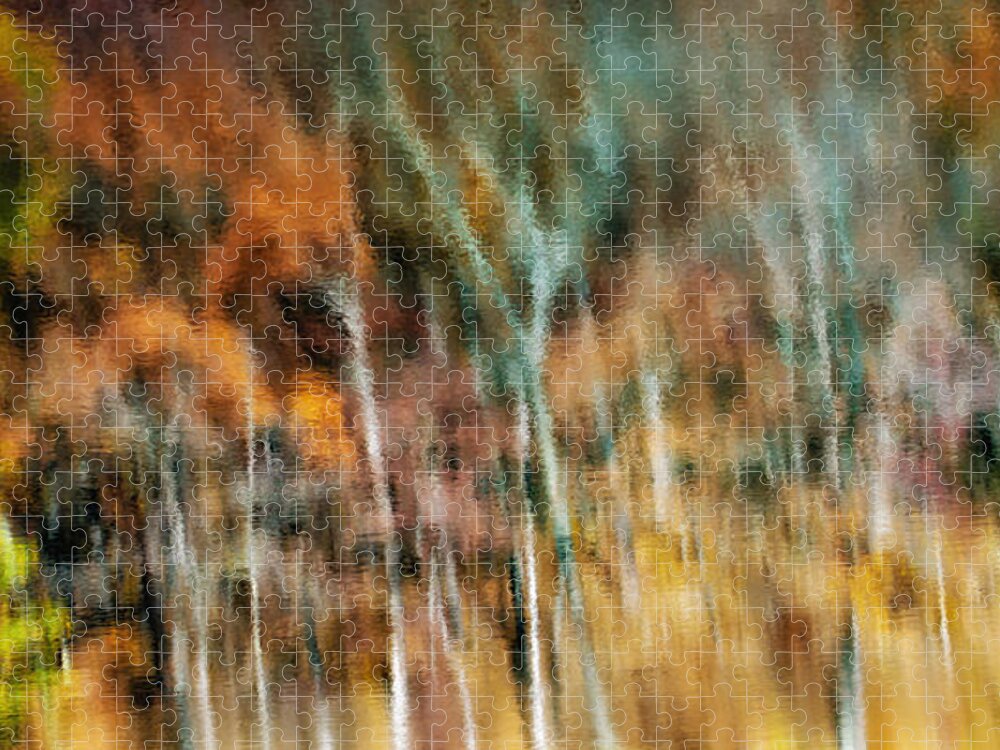 Abstract Jigsaw Puzzle featuring the photograph Woodland Abstract by James Barber