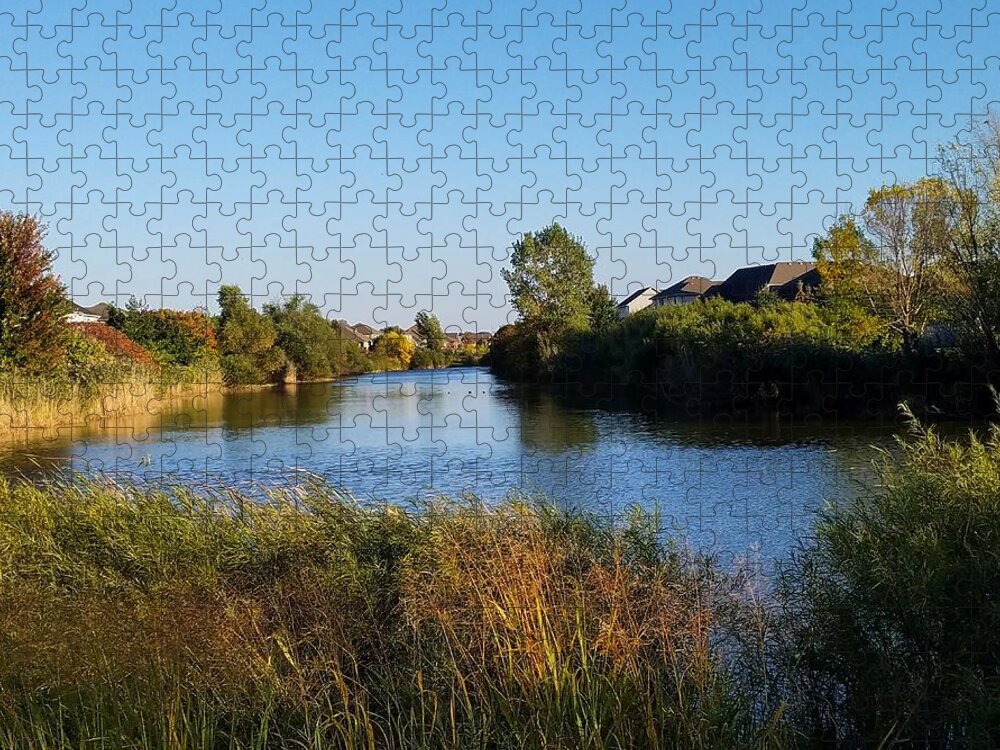 Pond Jigsaw Puzzle featuring the photograph Woodland Pond by Vic Ritchey