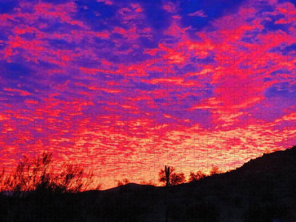 Places Jigsaw Puzzle featuring the photograph Y Cactus Sunset 1 by Judy Kennedy