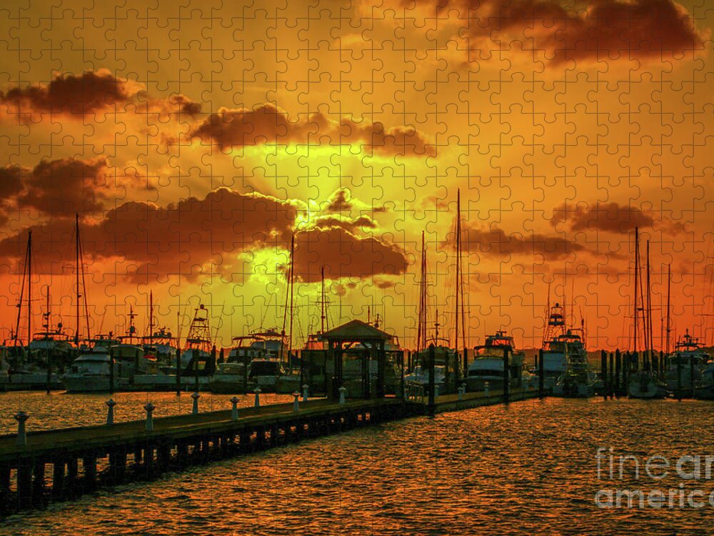 Sun Rise Jigsaw Puzzle featuring the photograph Yellow and Orange Rays by Tom Claud