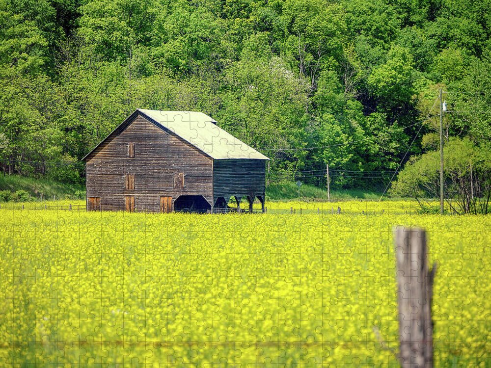 Barb Wire Jigsaw Puzzle featuring the photograph Yellow Field Rustic Shed by Doug Ash
