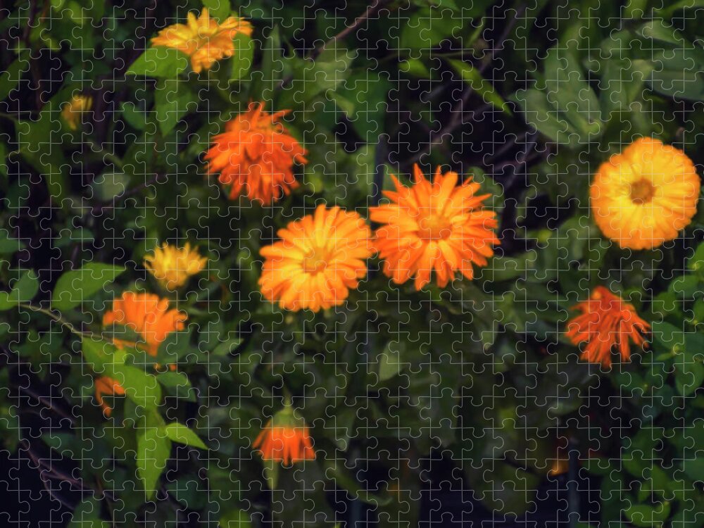 Yellow Jigsaw Puzzle featuring the photograph Yellow Flowers and Green Leaves by Bill Cannon