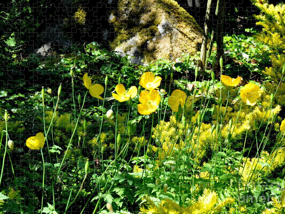 Flowers Jigsaw Puzzle featuring the photograph Yellow Flowers Bathing in the Sun by Tatyana Searcy