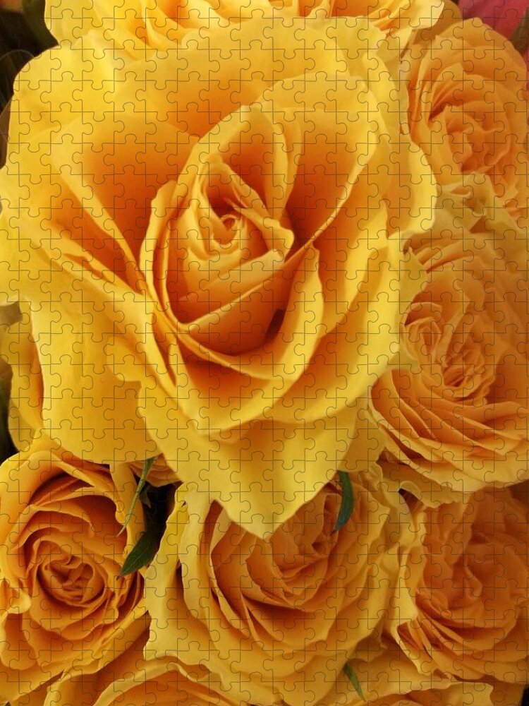 Rose Jigsaw Puzzle featuring the photograph Yellow joy by Rosita Larsson
