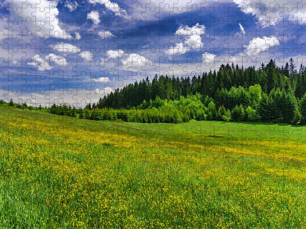 Beskids Jigsaw Puzzle featuring the photograph Yellow meadow by Dmytro Korol