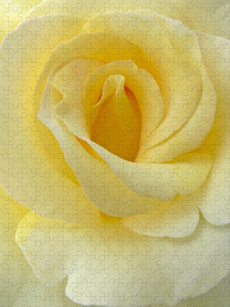 Rose Jigsaw Puzzle featuring the photograph Yellow Rose Chiffon by Jennie Marie Schell