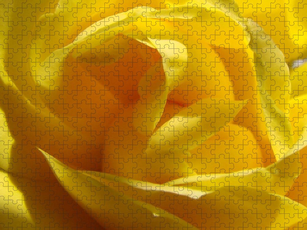 Roses Jigsaw Puzzle featuring the photograph Yellow Rose by Liz Vernand