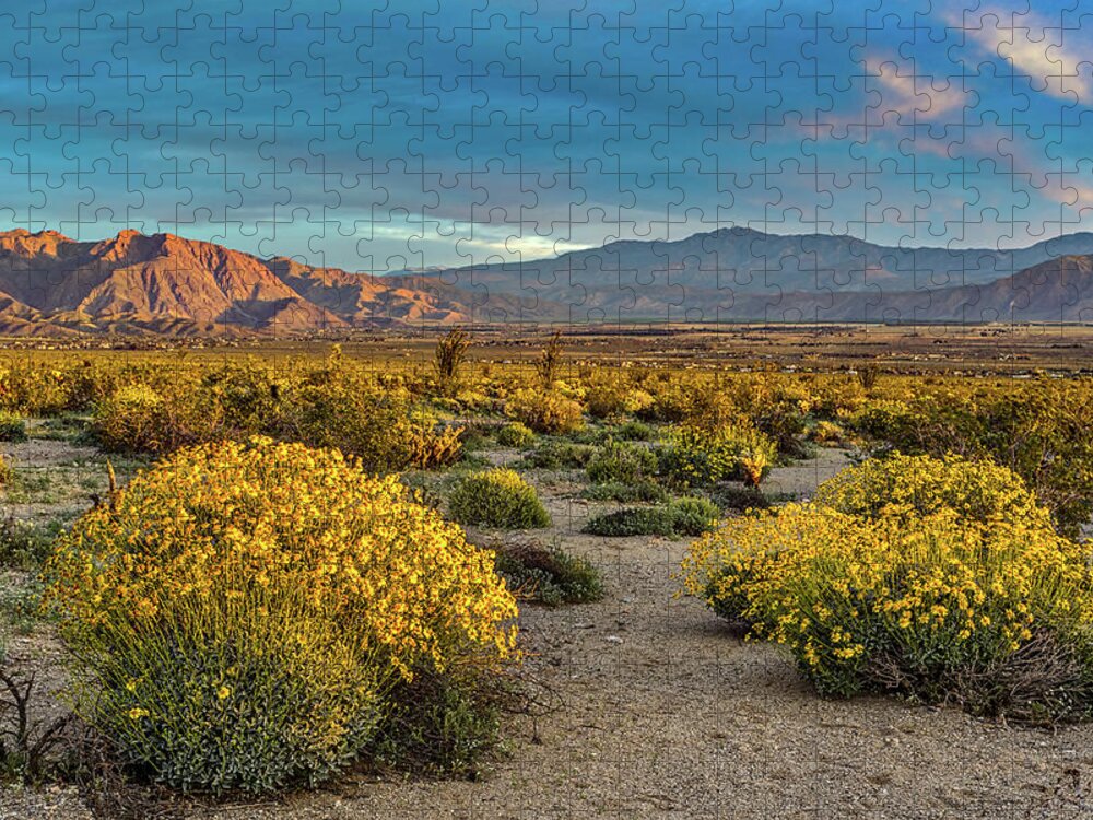 Anza-borrego Desert Jigsaw Puzzle featuring the photograph Yellow Sunrise by Peter Tellone