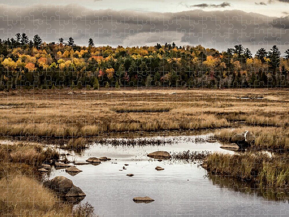 Autumn Jigsaw Puzzle featuring the photograph Yellow Trees Line the Edge of Brown Marsh in Maine by Kelly VanDellen