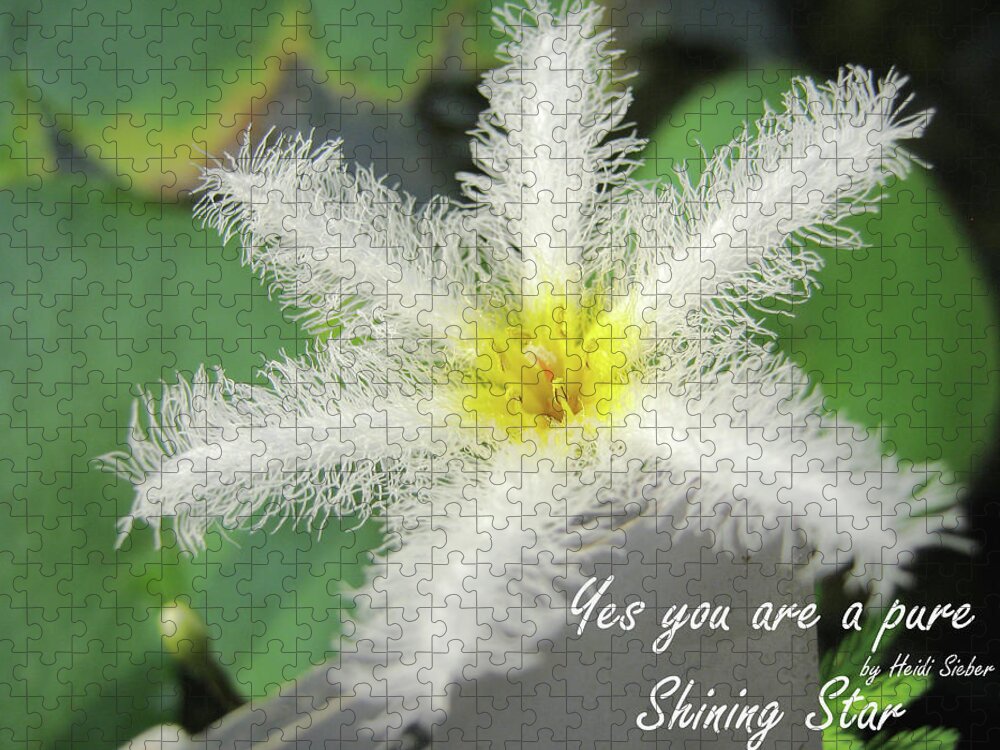 Flower Jigsaw Puzzle featuring the photograph Yes you are a pure shining star by Heidi Sieber
