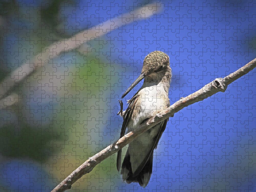 Black-chinned Hummingbird Jigsaw Puzzle featuring the photograph Yikes - I Need A Manicure  by Donna Kennedy