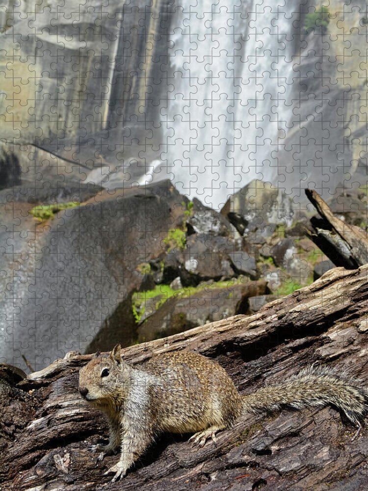 Yosemite National Park Jigsaw Puzzle featuring the photograph Yosemite Falls Squirrel by Kyle Hanson