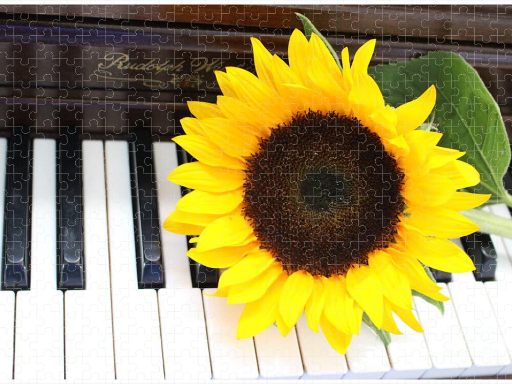 Sunflower Jigsaw Puzzle featuring the photograph You Are The Sunshine of My Life - A Love Song by Dora Sofia Caputo