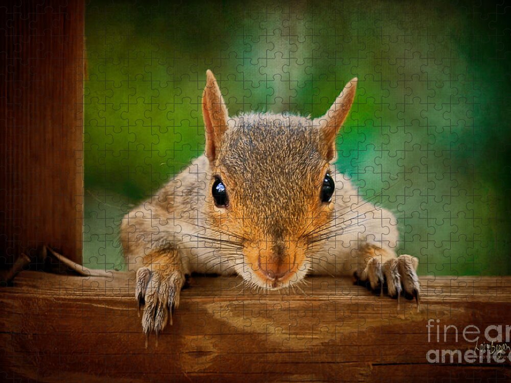 Squirrel Jigsaw Puzzle featuring the photograph You Rang by Lois Bryan