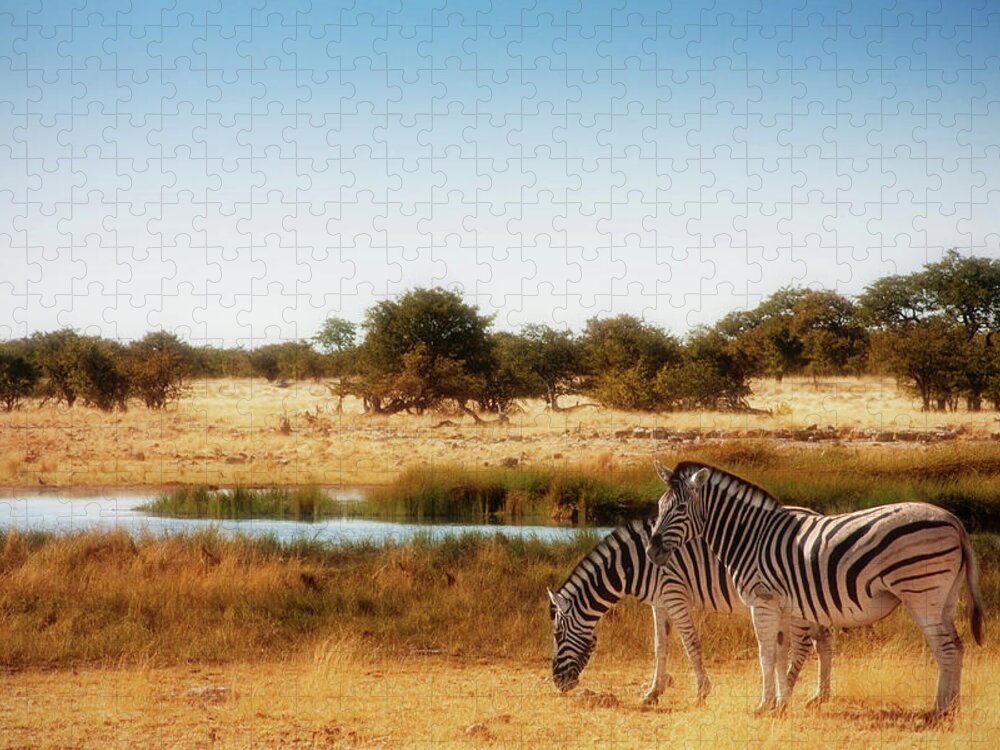 Africa Jigsaw Puzzle featuring the photograph Zebra dreams by Sylvia J Zarco