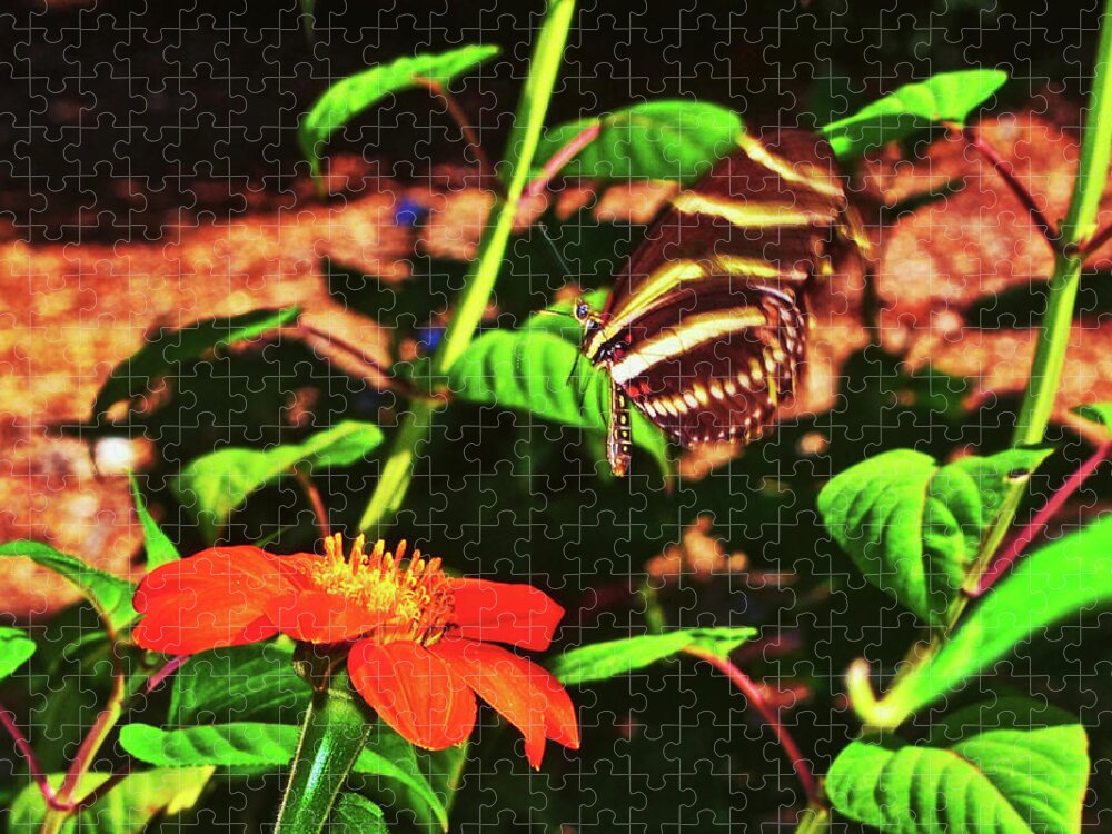 In Flight Jigsaw Puzzle featuring the photograph Zebra Longwing Butterfly 007 by George Bostian