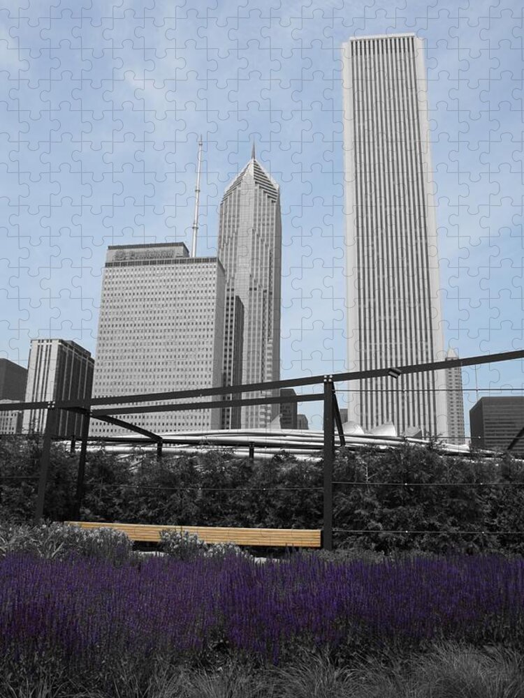 Cityscape Jigsaw Puzzle featuring the photograph Zen Within by Dylan Punke