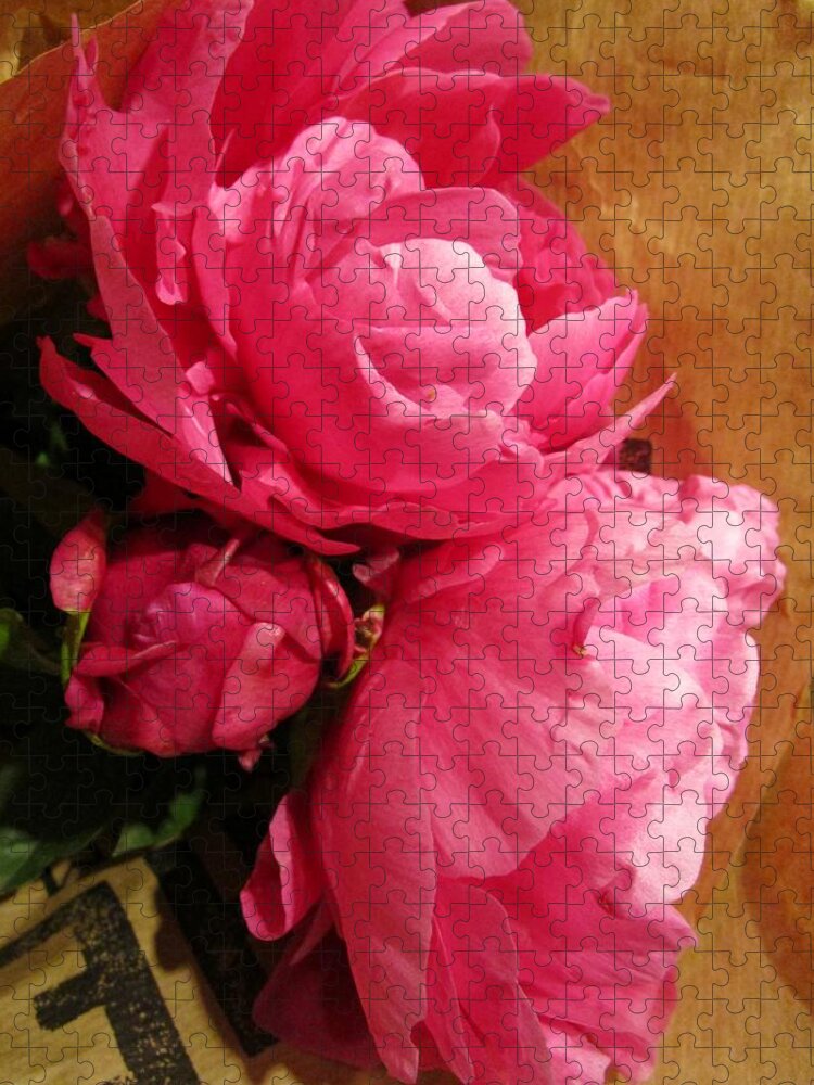 Peony Jigsaw Puzzle featuring the photograph Zeus tattoos by Rosita Larsson