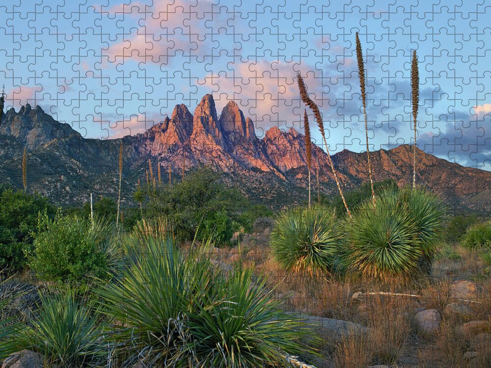 00557647 Jigsaw Puzzle featuring the photograph Agave, Organ Mts, Aguirre Spring Nra, New Mexico #1 by Tim Fitzharris