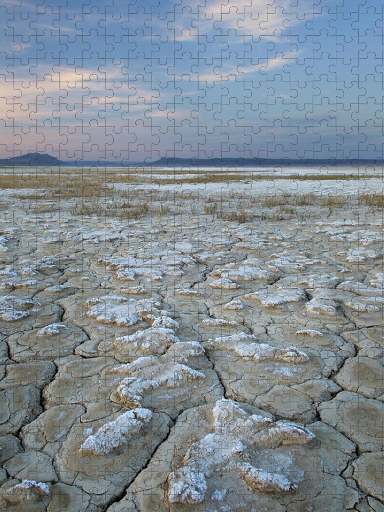 Tranquility Jigsaw Puzzle featuring the photograph Alvord Desert Oregon #1 by Alan Majchrowicz