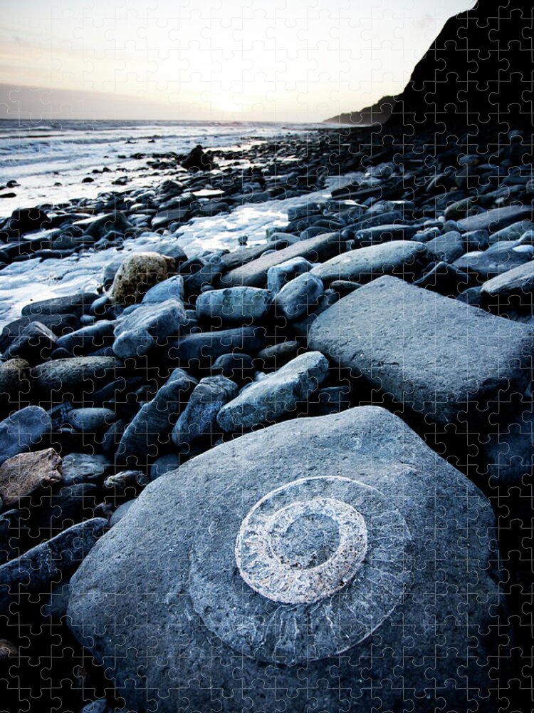 Water's Edge Jigsaw Puzzle featuring the photograph Ammonite In Rock #1 by Urbancow