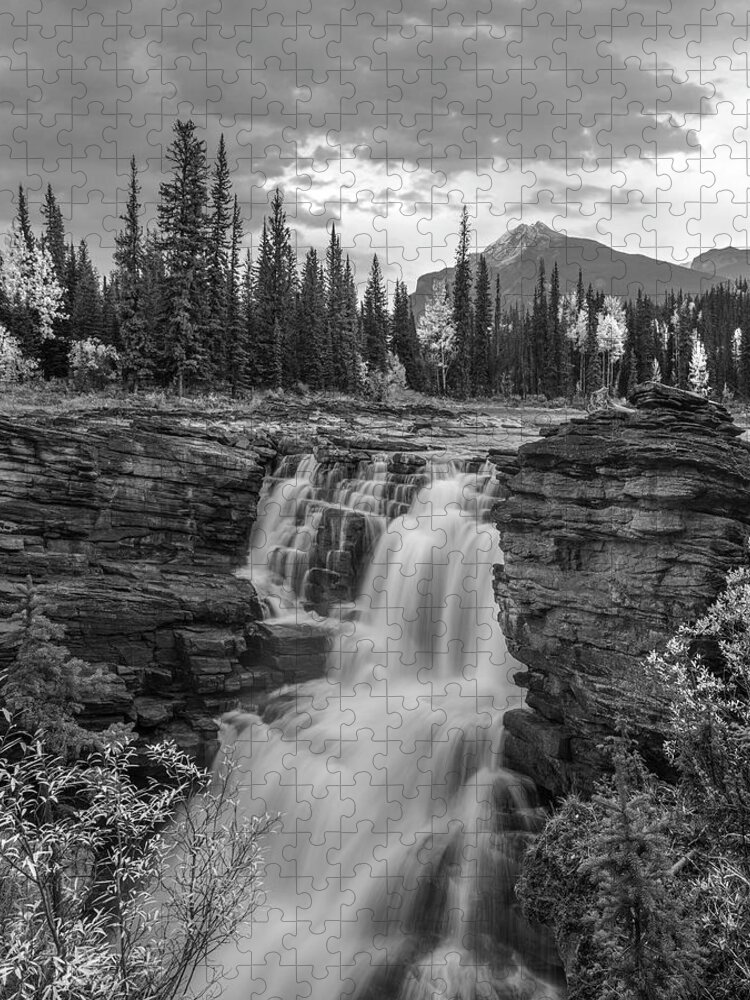Disk1215 Jigsaw Puzzle featuring the photograph Athabasca Falls Jasper National Park #1 by Tim Fitzharris