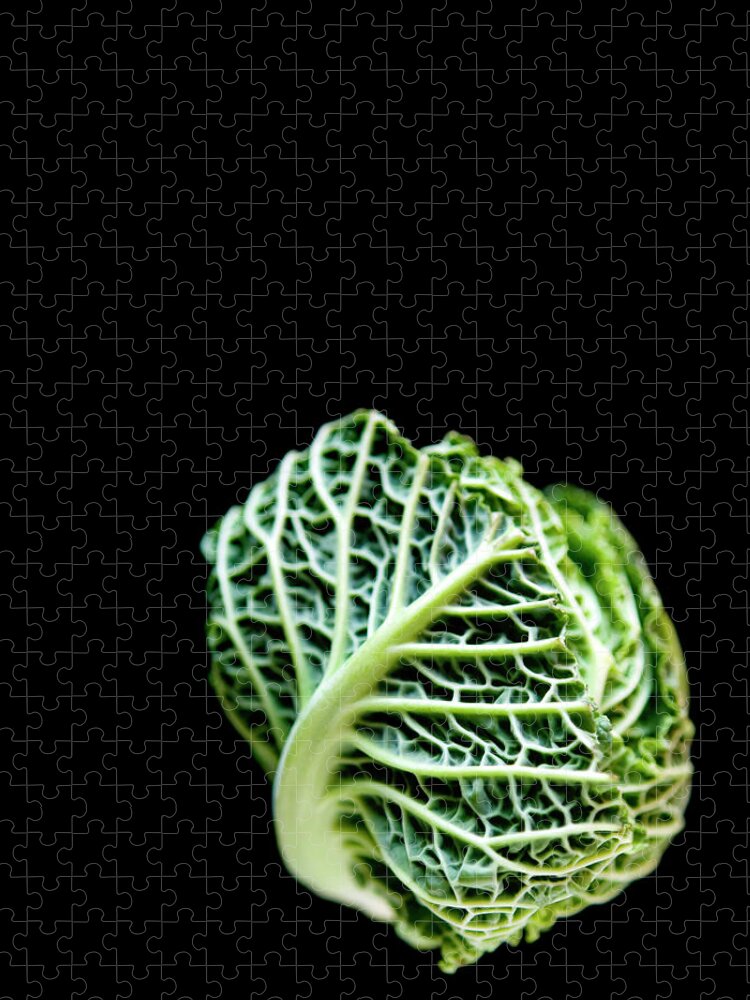 Black Background Jigsaw Puzzle featuring the photograph Baby Green Cabbage #1 by Charity Burggraaf
